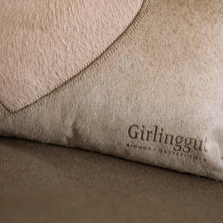 Girlinggut Schlafen Starten Salzburg Elixhausen Extérieur photo