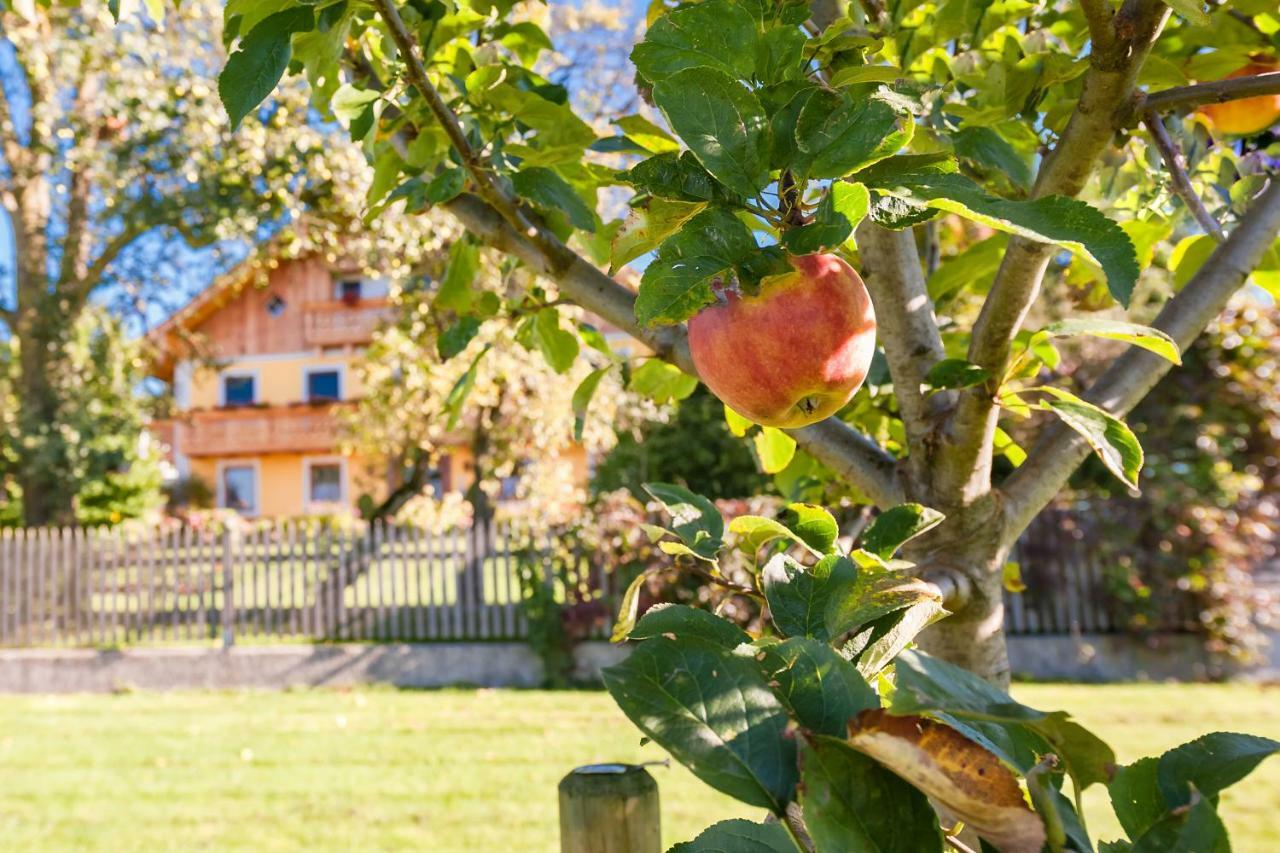 Séjour chez l'habitant Girlinggut Schlafen Starten Salzburg Elixhausen